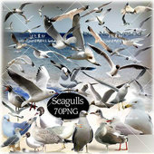 PNG đồ dùng nhà bếp miễn phí tấm cốc muỗng rag tấm hình vật liệu thiết kế nhà bếp [PS1741] - Phòng bếp kệ đựng gia vị