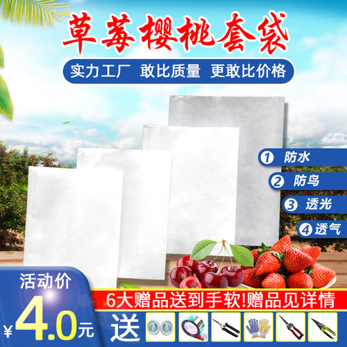 草莓樱桃无花果专用果实防鸟套袋