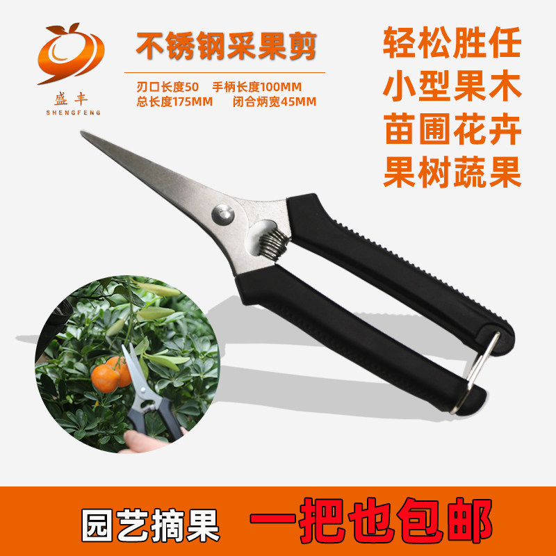 稀果剪果实剪刀果树剪刀修枝剪果木剪刀大力剪刀省力果园园艺剪刀