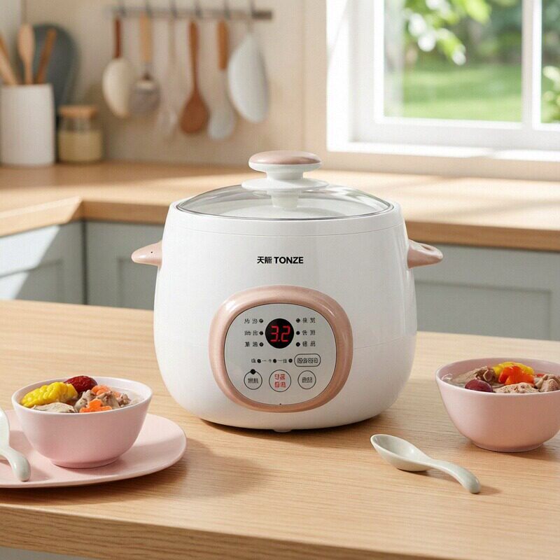 天际小电炖锅迷你宝宝BB煲汤煮粥锅家用隔水燕窝电炖盅婴儿熬粥锅