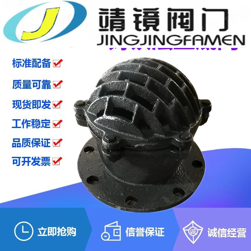 河北靖镜阀门H42X-6/10铸铁法兰底阀DN40-400水泵吸水莲蓬头笼网