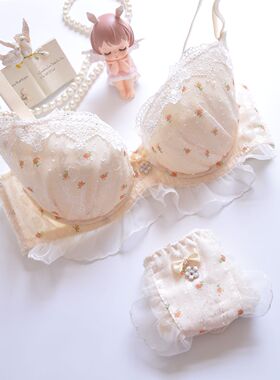 秋天的味道蕾丝田园风格胖MM大码文胸套装85E90C90D95C95D100B100