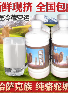 酸驼奶牧场直供哈萨克骆驼奶