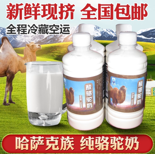2斤酸骆驼奶纯奶骆驼酸奶天然零添加顺丰空运牧民草原直供酸驼奶