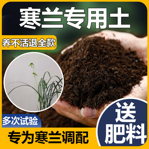 寒兰专用土肥料酸性沙质土壤种植土细叶寒兰专用土寒兰专用营养土