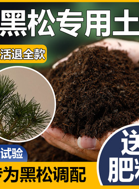 黑松土盆景专用土绿植专用营养土黑松专用土花士营养土黑松盆景土