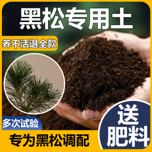 黑松土盆景专用土绿植专用营养土黑松专用土花士营养土黑松盆景土