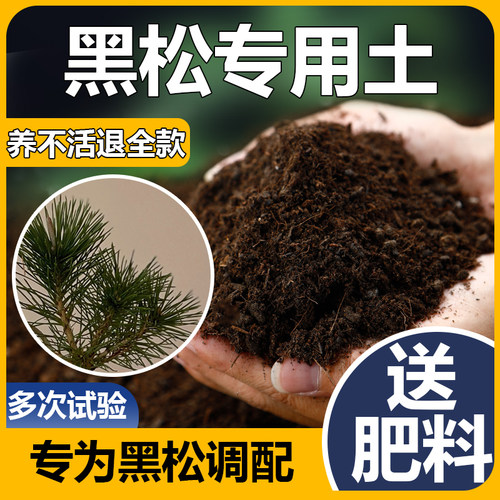 黑松土盆景专用土绿植专用营养土黑松专用土花士营养土黑松盆景土