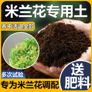 米兰花专用土盆栽土壤肥料泥土四季米兰专用营养土香水米兰专用土