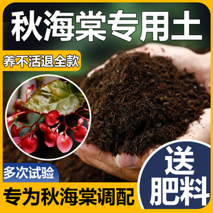 秋海棠专用土秋叶海棠花观叶植物沙土壤肥料鳟鱼秋海棠专用营养土