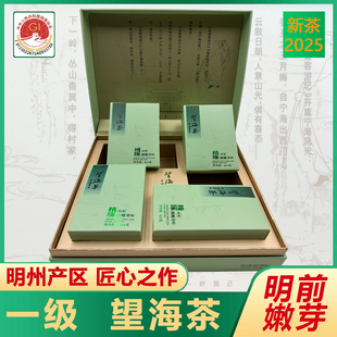 一级望海茶2025年明前新茶250克礼盒装农场直销宁波宁海特产绿茶