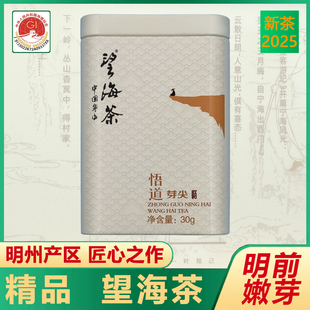 精品望海茶30克铁罐装2025年新茶叶明州核心产区出品宁波宁海特产