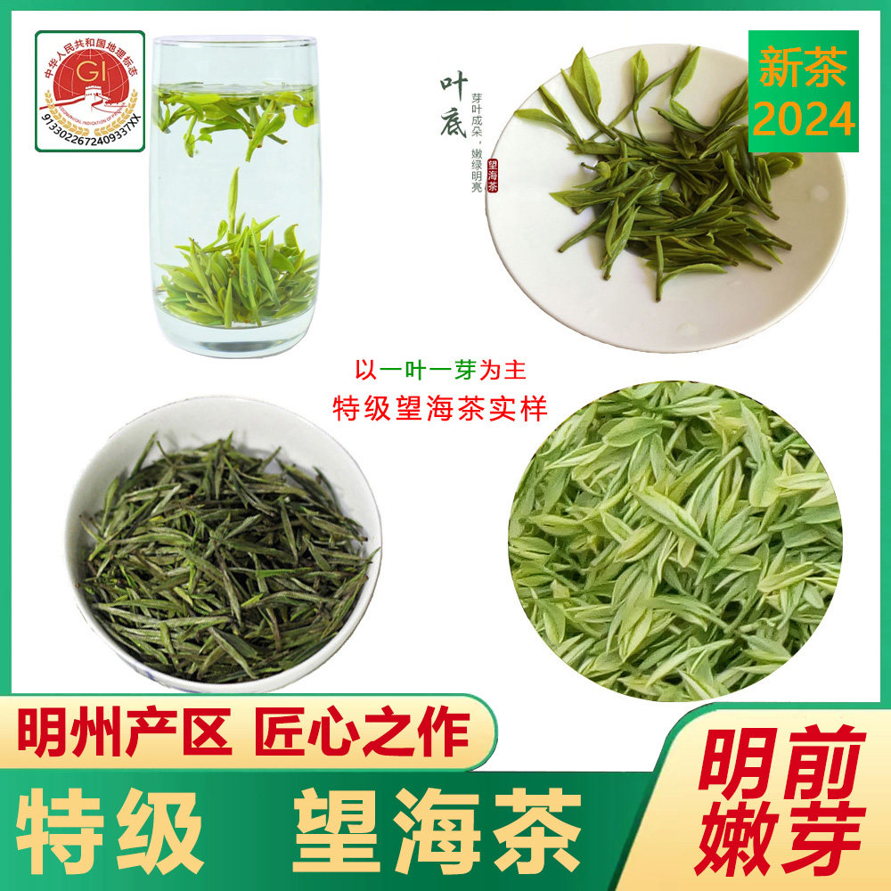 望海茶-特级-100克-简装-2023年新茶-家庭农场直销-宁波宁海特产