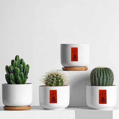 新中式简约陶瓷花盆带竹托创意仙人球多肉绿植盆栽桌面植物透气盆