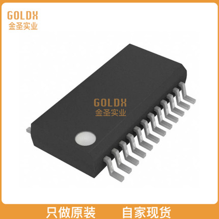 【 全新原装现货 】 PCM3010DBG4 IC STEREO AUD CODEC 24BIT 24S