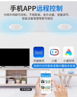 功放智能家居 无线蓝牙吸顶喇叭家用环绕天花吊顶音响套装 嵌入式