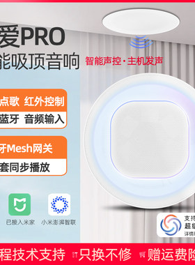 小爱pro吸顶音响主发声超级小爱