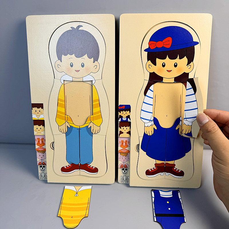 宝宝木质多层拼图玩具男女孩人体器官拼图幼儿园人体结构儿童早教