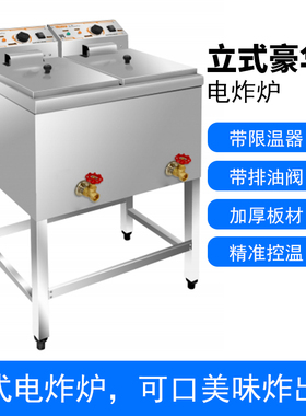汇利HY-905立式商用电炸炉双缸大容量油炸锅炸串薯条油炸机电炸箱