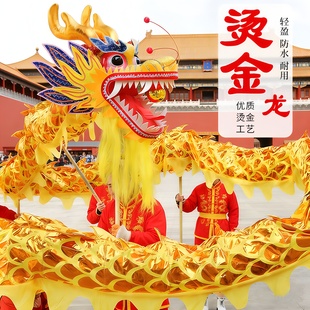 烫金龙龙灯龙狮舞龙舞狮绸缎布龙灯光龙舞龙表演服装道具成人三号