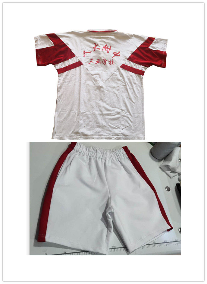 人大附中三亚学校学生纯棉短袖t恤短裤夏季校服运动套装