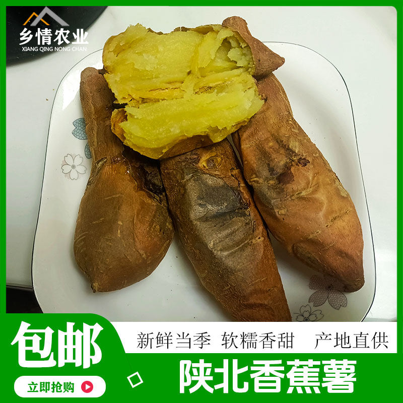 正宗陕北榆林绥德红薯地瓜甘薯迷你稀瓤烤香蕉薯绥薯一号北京553