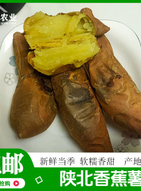 正宗陕北榆林绥德红薯地瓜甘薯迷你稀瓤烤香蕉薯绥薯一号北京553