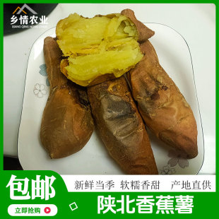 正宗陕北榆林绥德红薯地瓜甘薯迷你稀瓤烤香蕉薯绥薯一号北京553