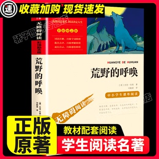 呼唤 初中生高中生课外阅读名著书籍动物小说书精美彩插励志版 又名荒野 书目推荐 读物小学 三四五六年级必读课外书经典 野性