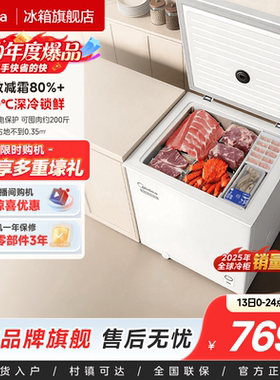 美的143/203L冰柜家用小型迷你冷柜冷冻冷藏一级减霜母乳官方冰箱