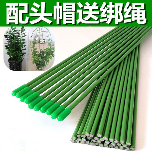 花插杆植物造型支撑架固定铁丝杆百合花黑法师兰花招财树盆栽插棍