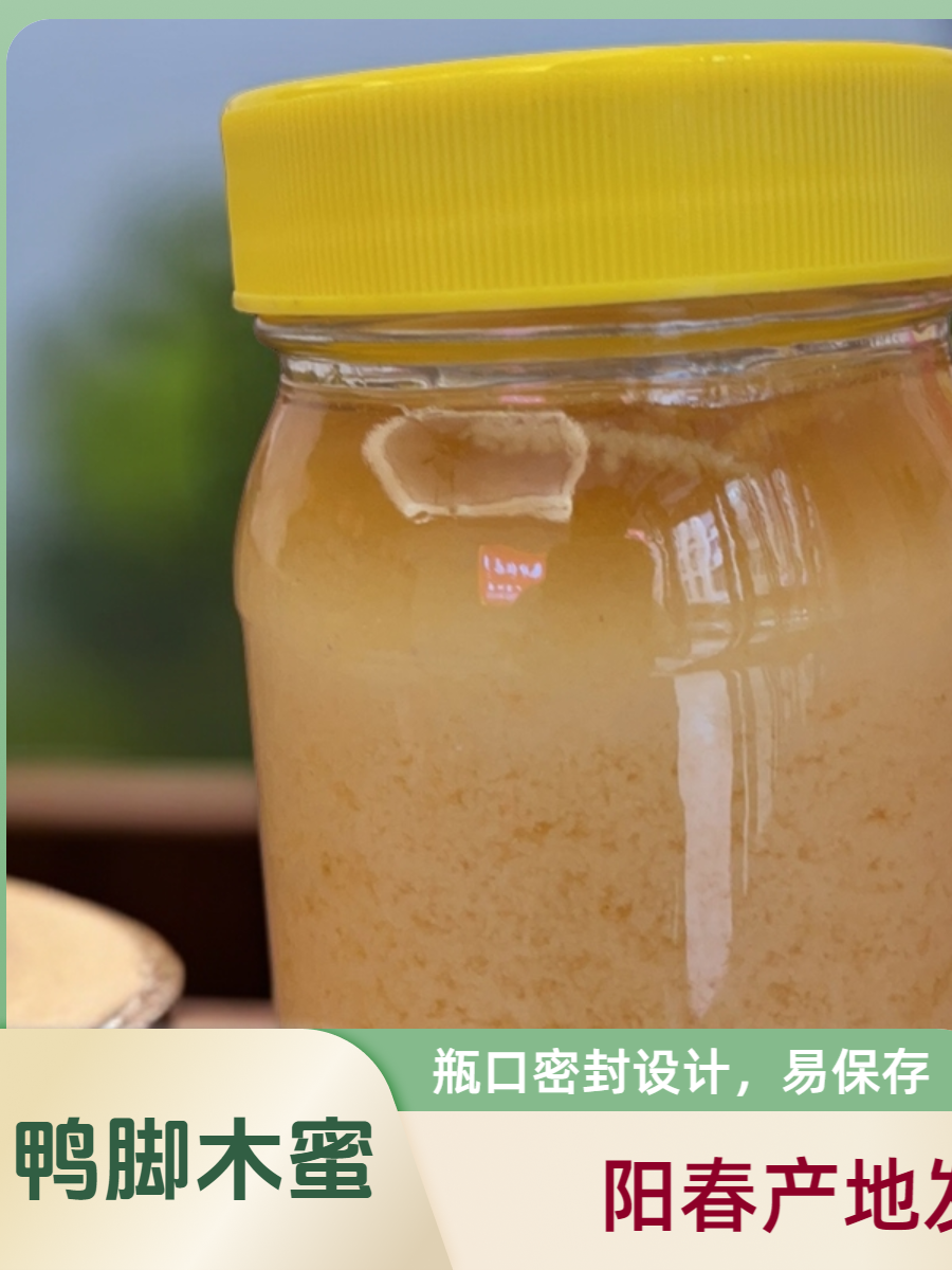 纯正冬蜜鸭脚木蜜荔枝蜜百花蜜500g一斤起包邮