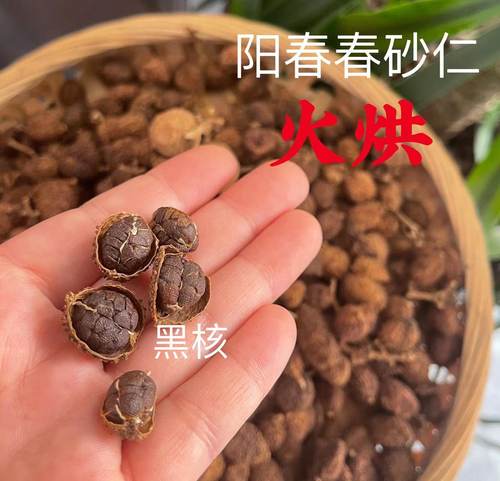 2026年火烘春砂仁春沙仁果阳春特产青苗砂仁中药砂仁100克包邮