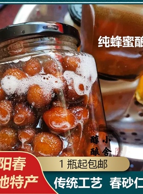 春砂仁蜜砂仁蜜阳春特产春砂仁蜜纯蜂蜜泡浸445g包邮