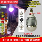 智能调色无极调光水果灯12v 85V柑桔橙苹果水果灯变色地摊电瓶灯