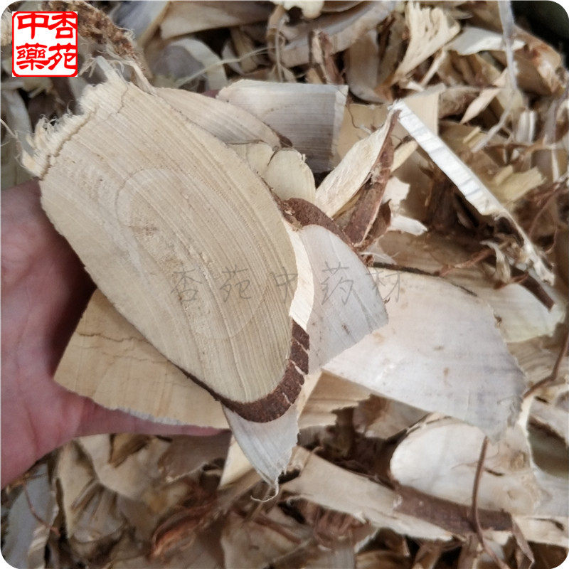 白背叶根1000g 中药材白膜根白朴根白贝叶根野桐根白面风根