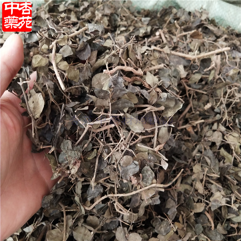 寿星鸟不宿中药材