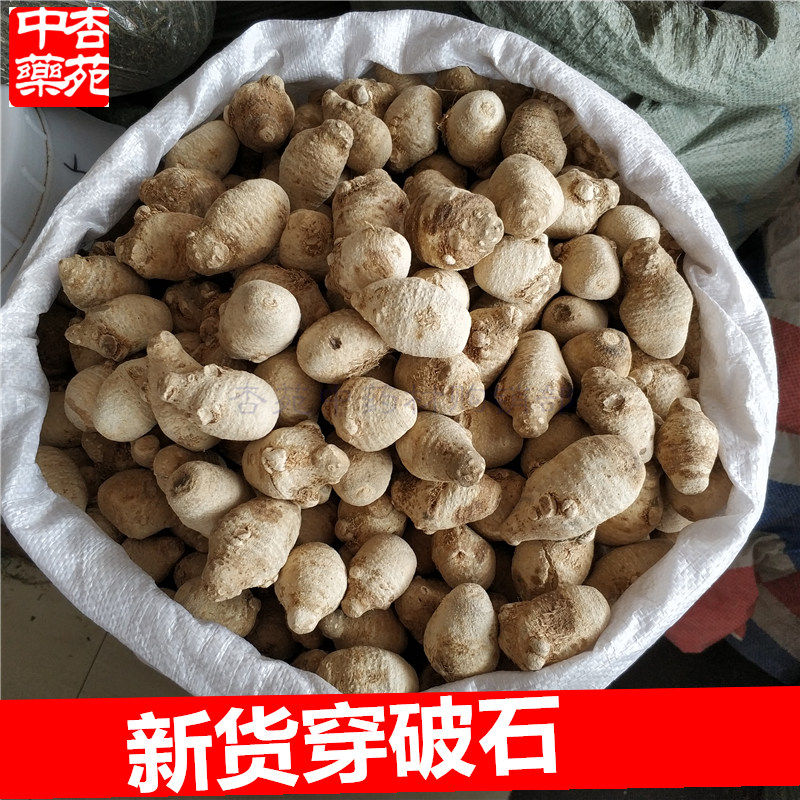 500克包邮穿破石云南苗家中草药中药材泡酒料药酒料