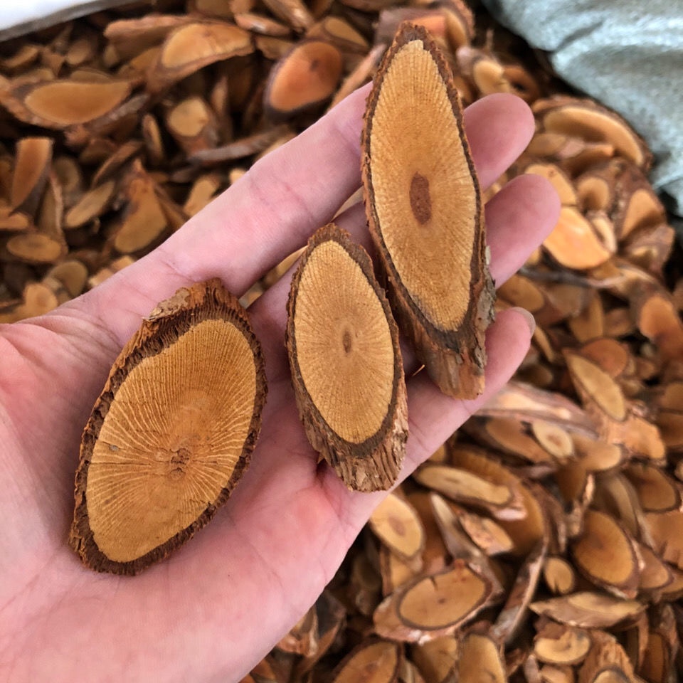 袪湿王钻地风500克铜皮铁骨桐叶藤利筋藤中药材
