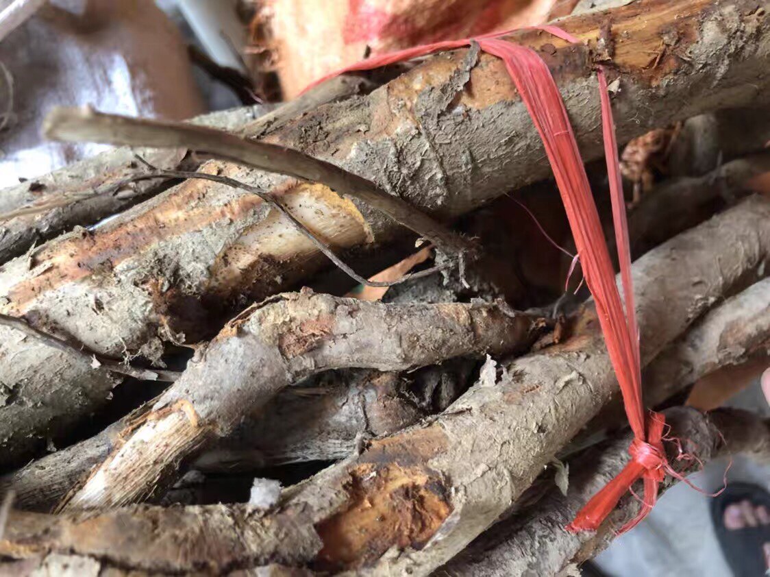 干货枫荷桂根中药材1000克风何桂风纯根荷桂枫荷桂非半枫荷中草药
