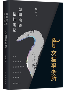 朝阳南路精怪康夫奇幻国风小说