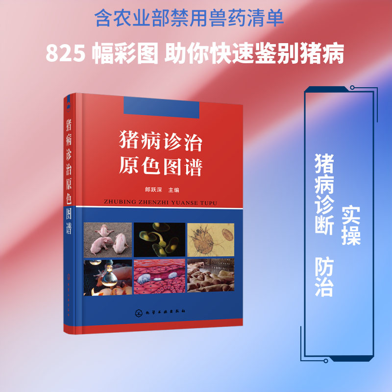 猪病诊治原色图谱(精) 郎跃深 主编 正版书籍 新华书店旗舰店文轩官网 化学工业出版社