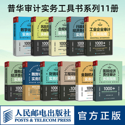 普华审计工具书11册人民邮电