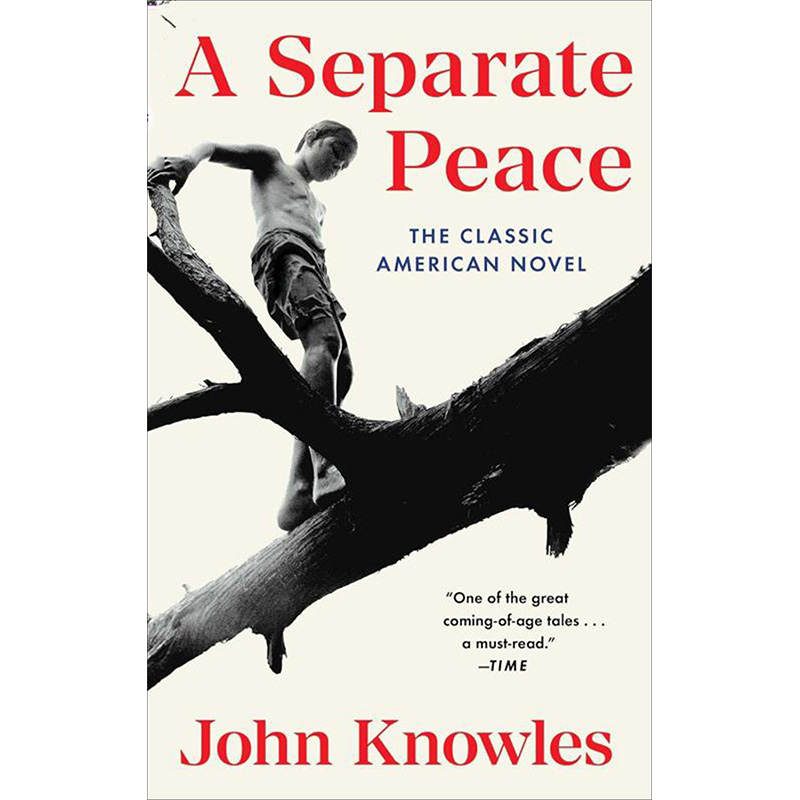 新华书店正版 进口原版-现代文学 文轩网