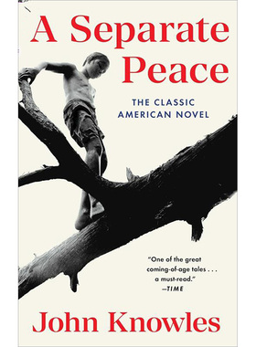独自和解 A Separate Peace 进口书英文原版外版书 经典小说读物 青少年小学生课外阅读书籍 新华书店旗舰店官网
