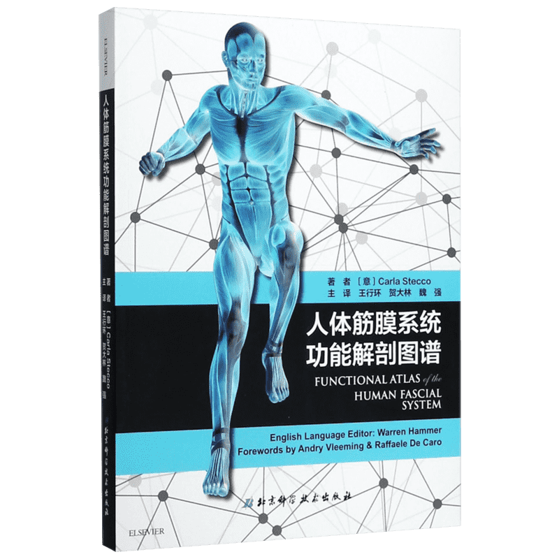 人体筋膜系统功能解剖图谱 意大利引进中文简体版 筋膜健身书 新华书店正版书籍 解剖列车 功能解剖学图谱书籍