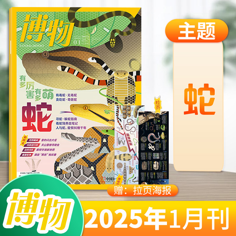 新华书店正版 期刊杂志-大众科普 文轩网