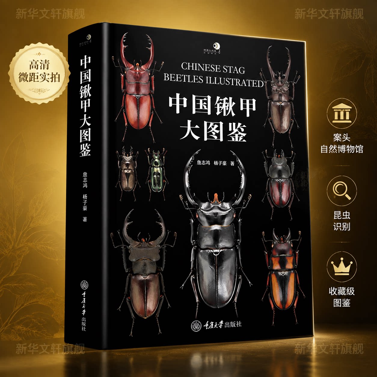 中国锹甲大图鉴 收录中国锹甲科昆虫34属369种甲虫彩色图鉴观赏类鞘翅目昆虫兜锹花臂任选甲虫百科 重庆大学出版社