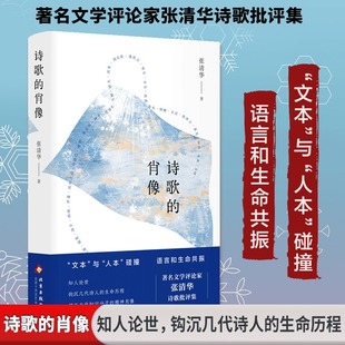 诗歌的肖像 张清华著 正版全本 文学批评家跨界诗作豆瓣高分好评以隐喻与修辞勾勒自我与历史镜像兼具学术深度与诗性张力