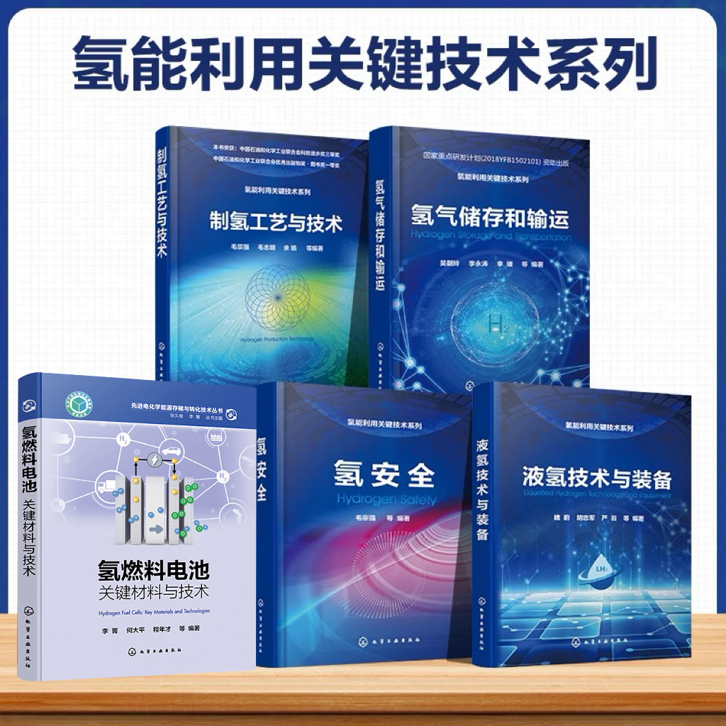【全5册】氢能利用关键技术系列  制氢工艺与技术氢气 储存与运输 氢燃料电池 氢安全 液氢技术与装备
